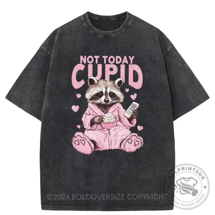 Not Today Cupid Raccoon Valentine's Day Washed T-Shirt