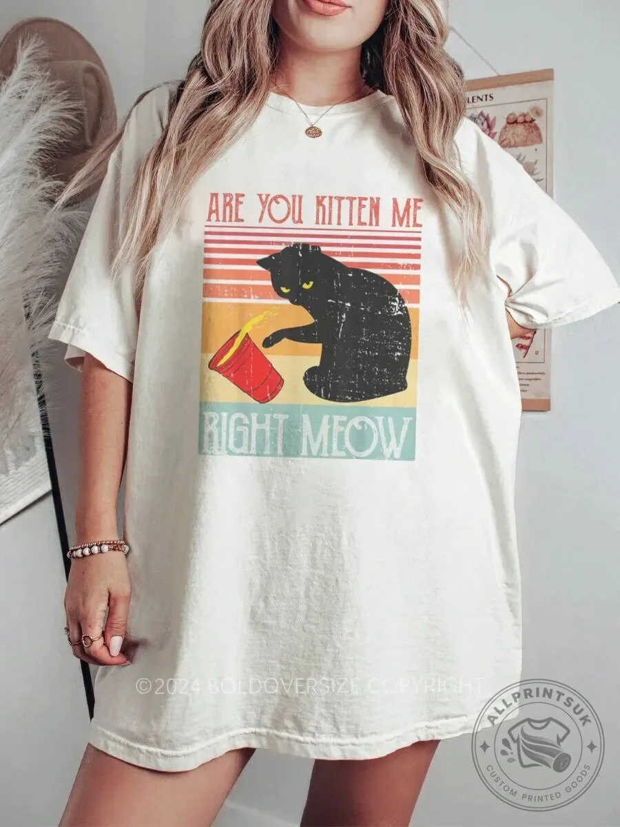 Are You Kitten Me Right Meow Funny Cat Lover Vintage T-Shirt